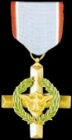 Amry Distinguished Cross:

This medal is awarded to members with more than 20 days in clan. Medal is awarded Automatically.