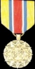 Army Reserve Achievment Medal:

This medal is awarded to members with more than 210 days in clan. Medal is awarded Automatically.