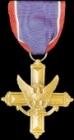 Distinguished Service Cross:

This medal is awarded to members with more than 300 days in clan. Medal is awarded Automatically.