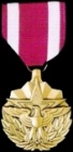 Meritorious Service Medal