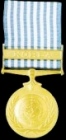 United Nations Medal